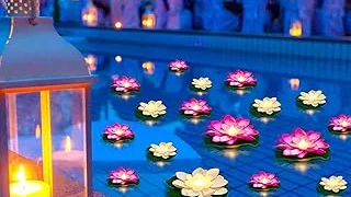 Best Selling 5 Lily Pads