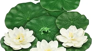 Top 5 Lilly Pads