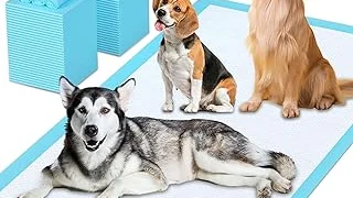 Top 5 Pee Pee Pads