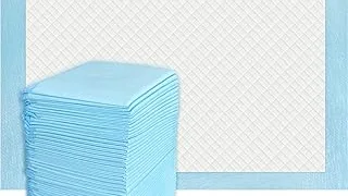 Top Rated 5 Canine Pads