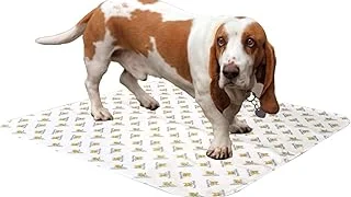 Top Rated 5 Pooch Pad